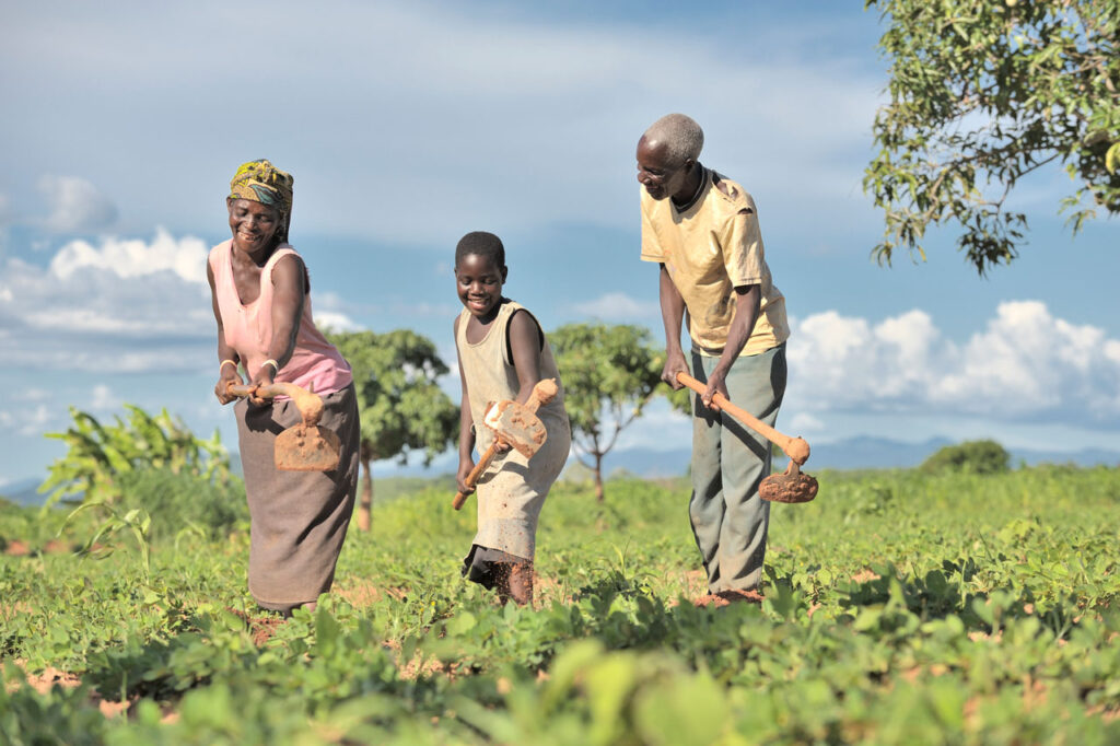 Take Action on Hunger