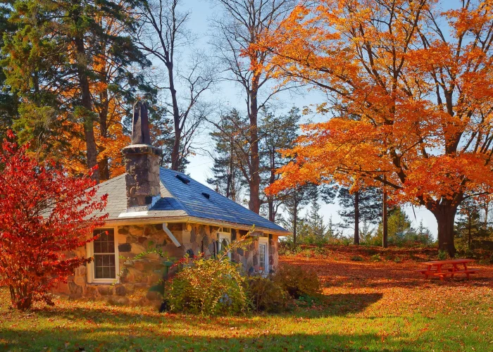 Crieff Fall photo