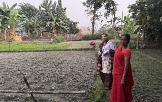 Woman receives seeds for farming