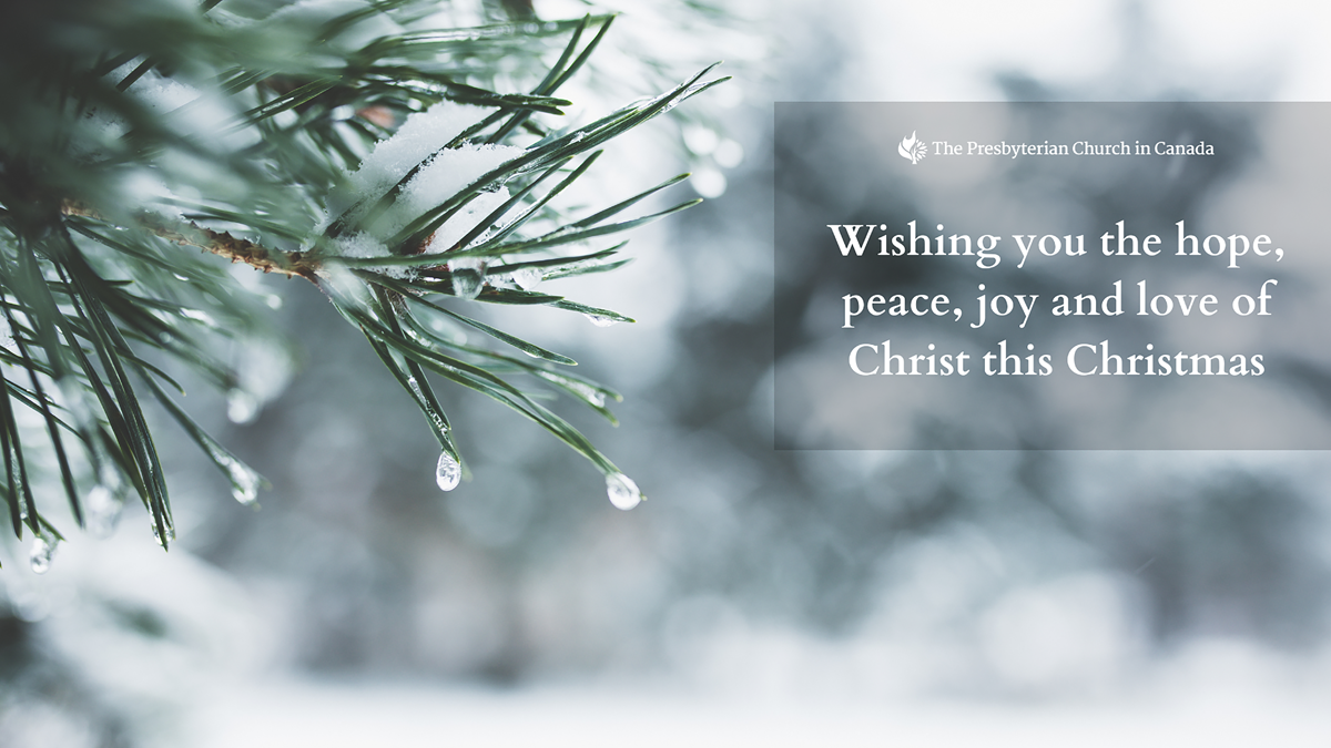 Christmas worship slide with an image of snowy evergreen foliage.