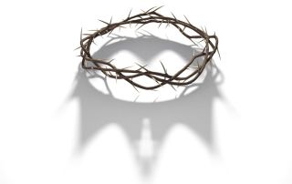 Crown of thorns with crown shadow