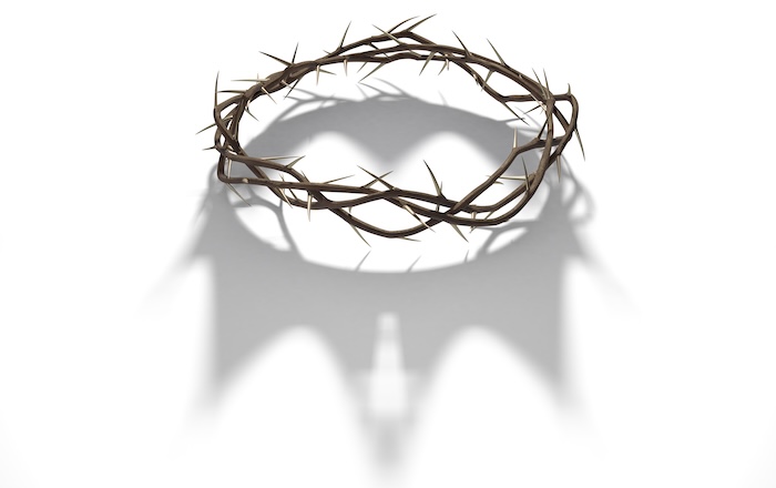 Crown of thorns with crown shadow