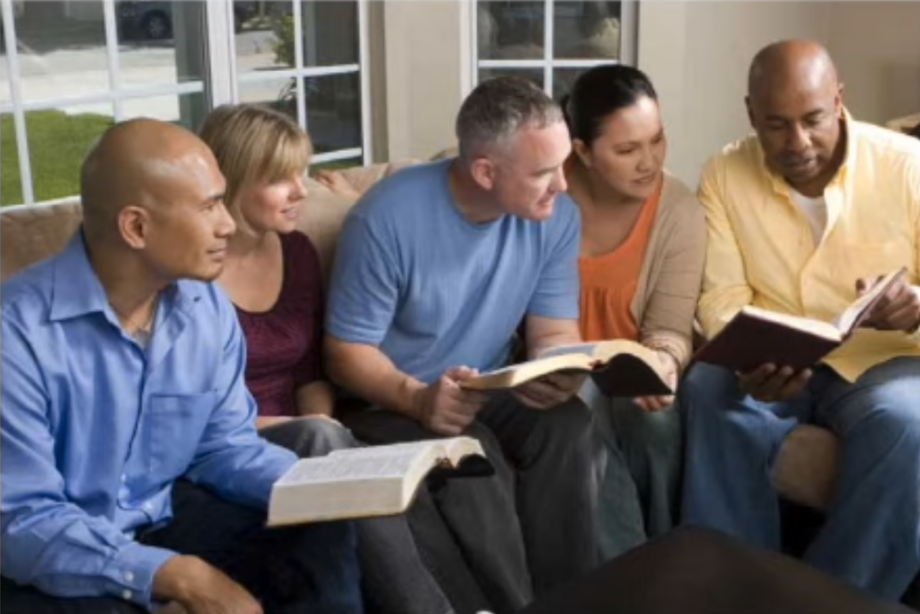 Curriculum Webinar