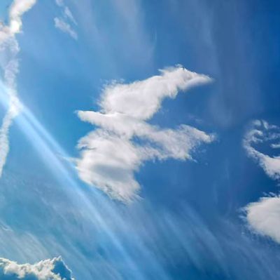 Dove shaped cloud