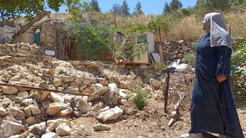 Ibtisam Shami 3