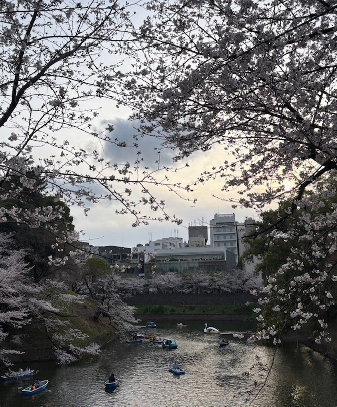 Japan_676x816 Japan
