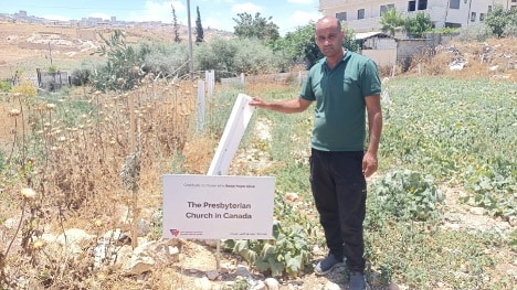 Mohammad Qadi 3