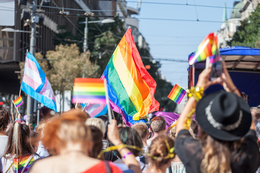Crowd raising and holding rainbow gay and trans flags during Pride Parade