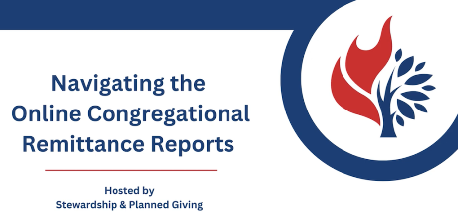 Remittance Reports Webinar