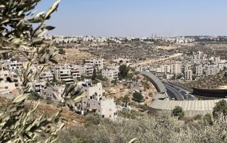 Settler Road