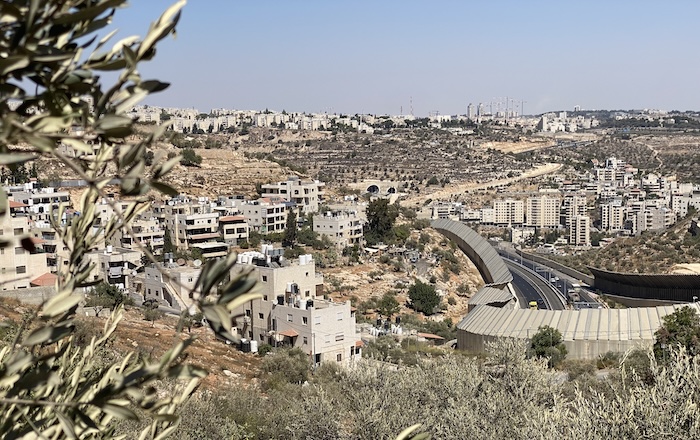Settler Road