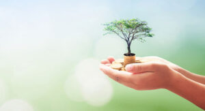 hands holding money growth tree