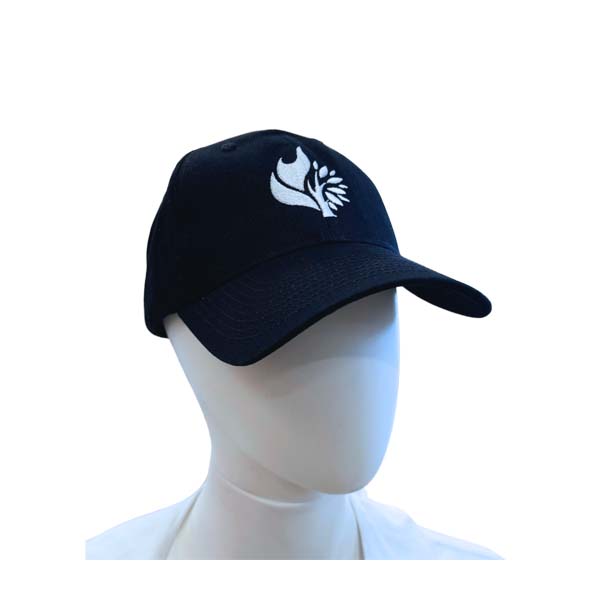 church merch images – hat back